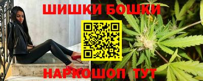 PSILOCYBIN Камышлов